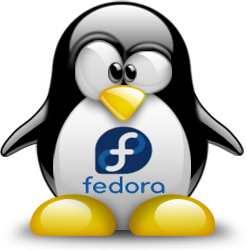 penguin pingouin pinguino 924